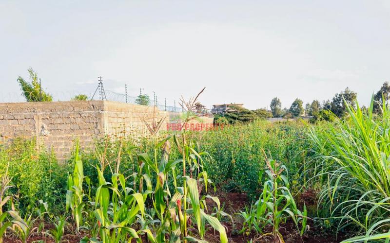 Prime Residential Plot For Sale In Kikuyu, Gikambura.
