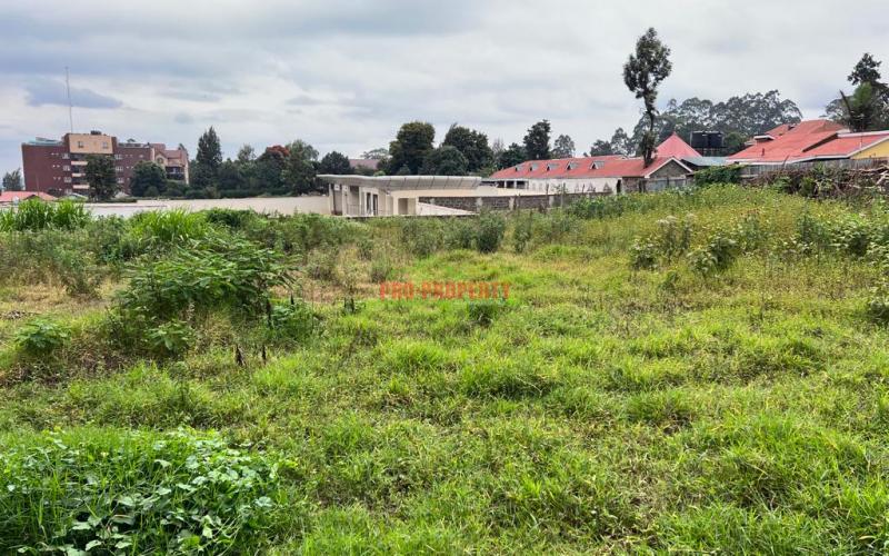 Prime Commercial 100x100 Plot For Sale In Kikuyu, Sigona (touching Tarmac).