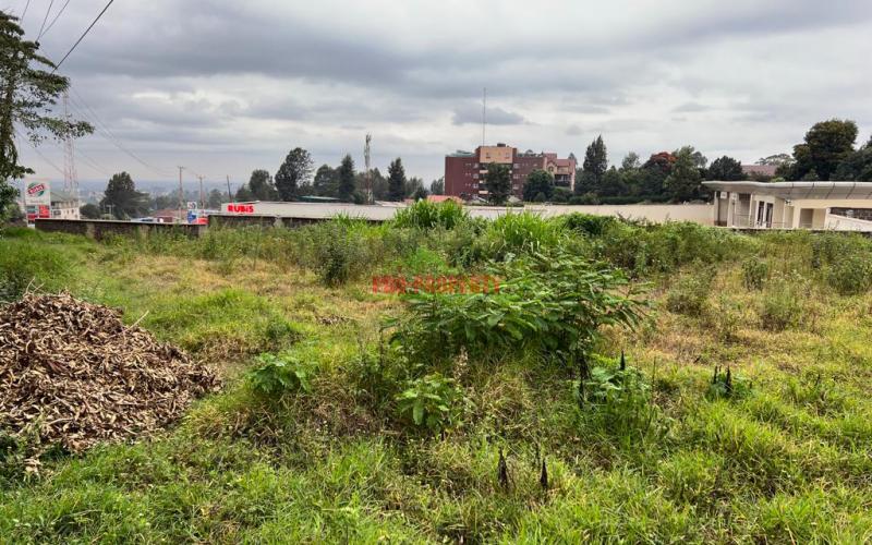 Prime Commercial 100x100 Plot For Sale In Kikuyu, Sigona (touching Tarmac).