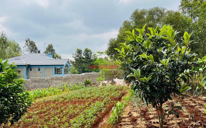 Prime Residential Plot For Sale in Kikuyu, Ondiri.