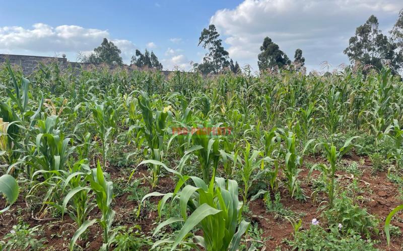Prime 50 By 100 Fts Plot For Sale In Kikuyu, Sigona Along Waiyaki Way.