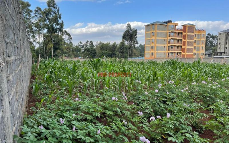 Prime 50 by 100 fts Plot For Sale in Kikuyu, Sigona along Waiyaki way.