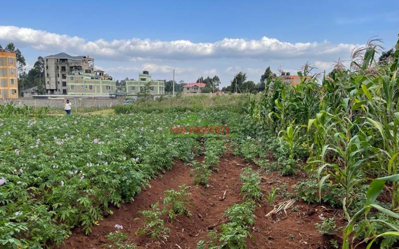 Prime 50 By 100 Fts Plot For Sale In Kikuyu, Sigona Along Waiyaki Way.