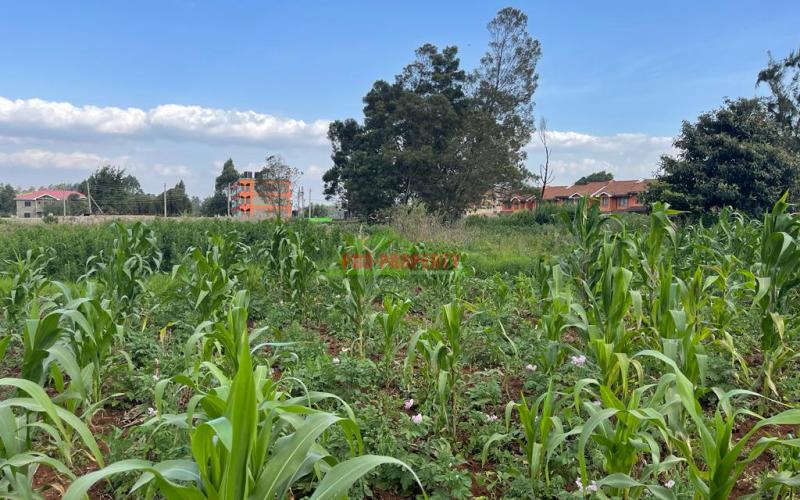 Prime 50 By 100 Fts Plot For Sale In Kikuyu, Sigona Along Waiyaki Way.