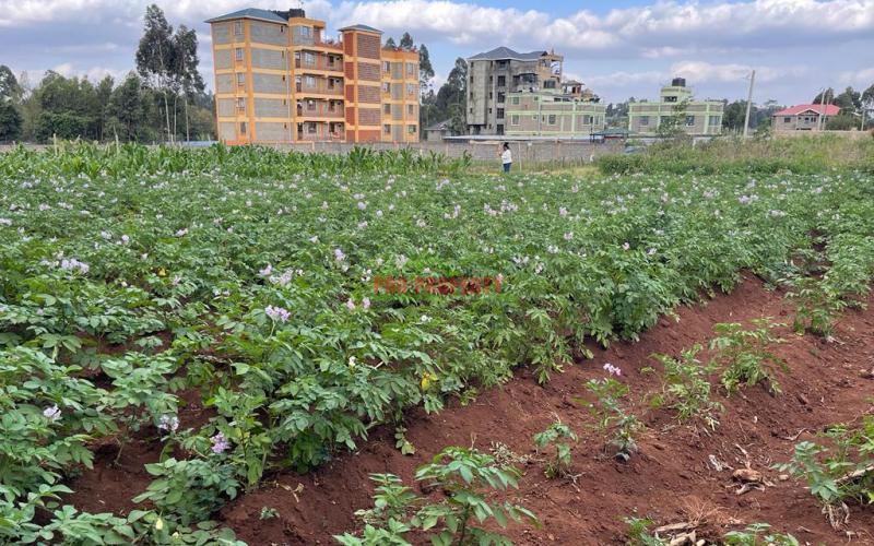 Prime 50 By 100 Fts Plot For Sale In Kikuyu, Sigona Along Waiyaki Way.