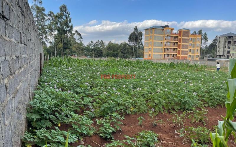 Prime 50 By 100 Fts Plot For Sale In Kikuyu, Sigona Along Waiyaki Way.