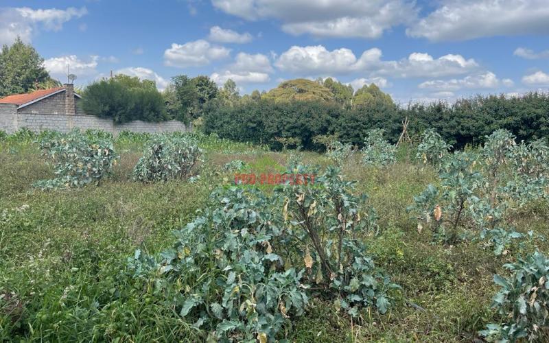 Residential Plot For Sale In Kikuyu, Ondiri Kiambu County.