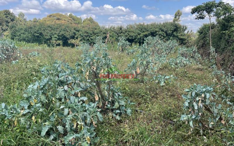 Residential Plot For Sale In Kikuyu, Ondiri Kiambu County.