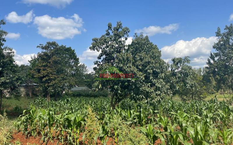 Prime Half Acre Plot For Sale In Kikuyu, Ondiri.