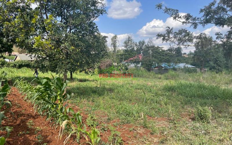 Prime Half Acre Plot For Sale in Kikuyu, Ondiri.