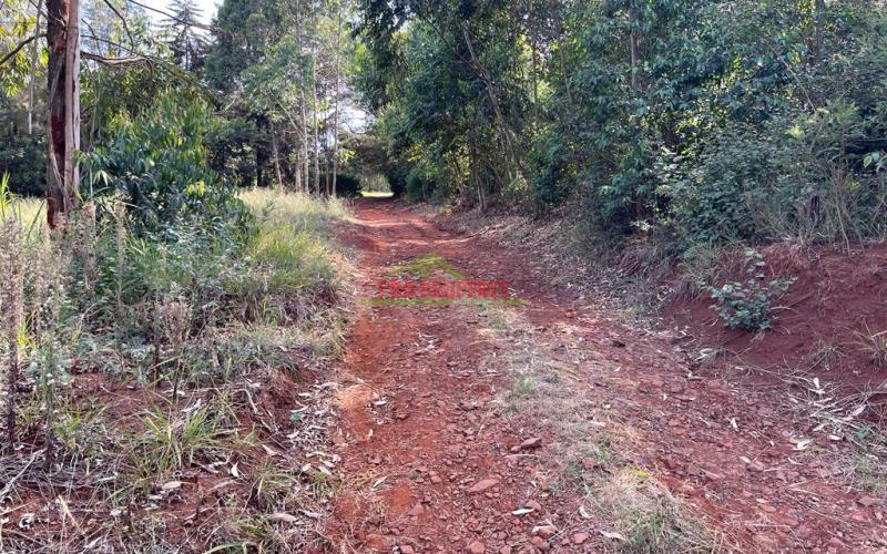 Residential 100 By 100 Fts In Kikuyu Ondiri.