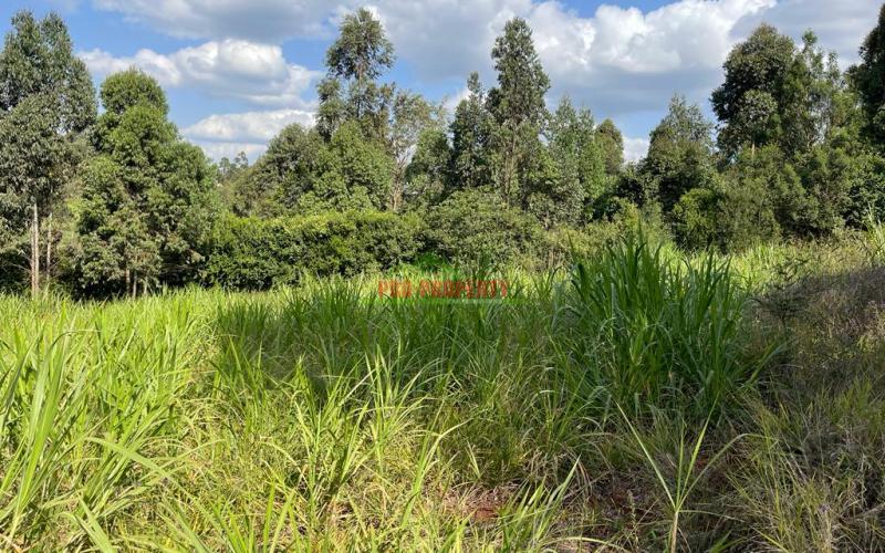 Residential 100 By 100 Fts In Kikuyu Ondiri.