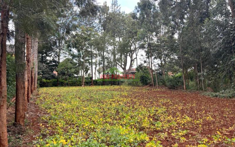 Prime Residential Plot For Sale In Kabete, Fortsmith Gardens.