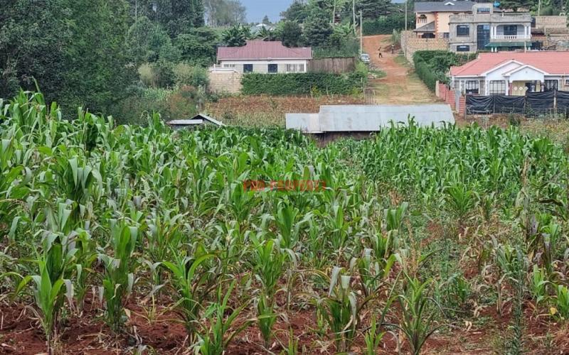 Prime Residential 50 by 100 fts Plot For Sale in Gikambura