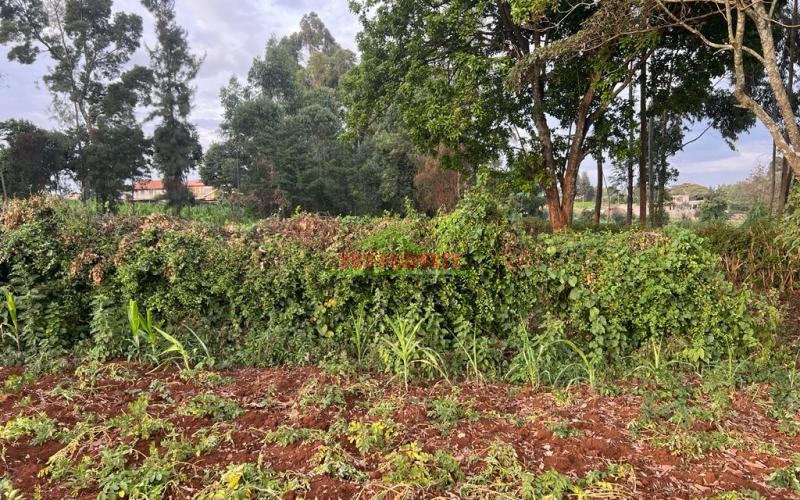 Prime Residential Plot For Sale In Kikuyu, Ondiri