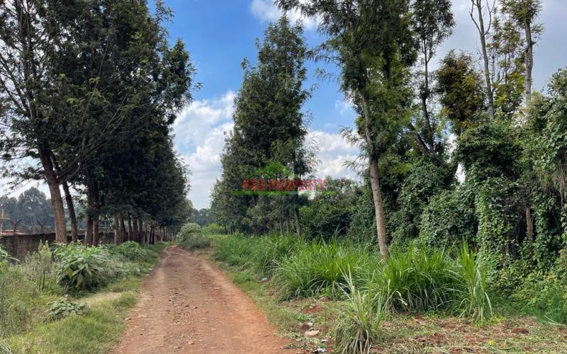 Prime Block Of Land For Sale In Kikuyu Town.