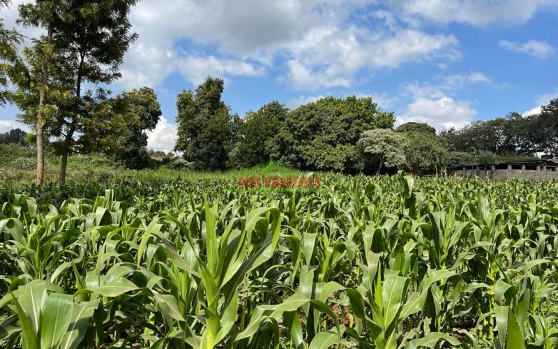 Prime Block Of Land For Sale In Kikuyu Town.