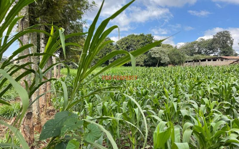 Prime Block Of Land For Sale In Kikuyu Town.