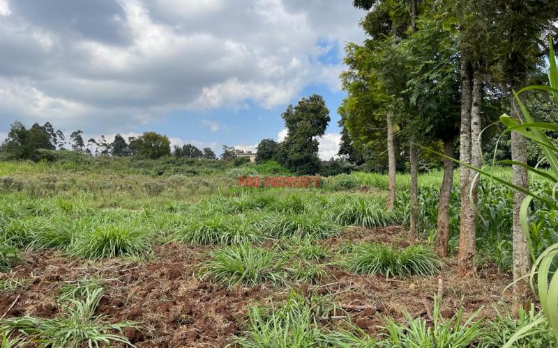 Prime Block Of Land For Sale In Kikuyu Town.