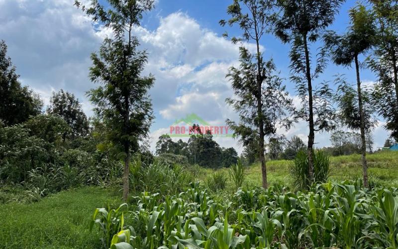 Prime Block Of Land For Sale In Kikuyu Town.