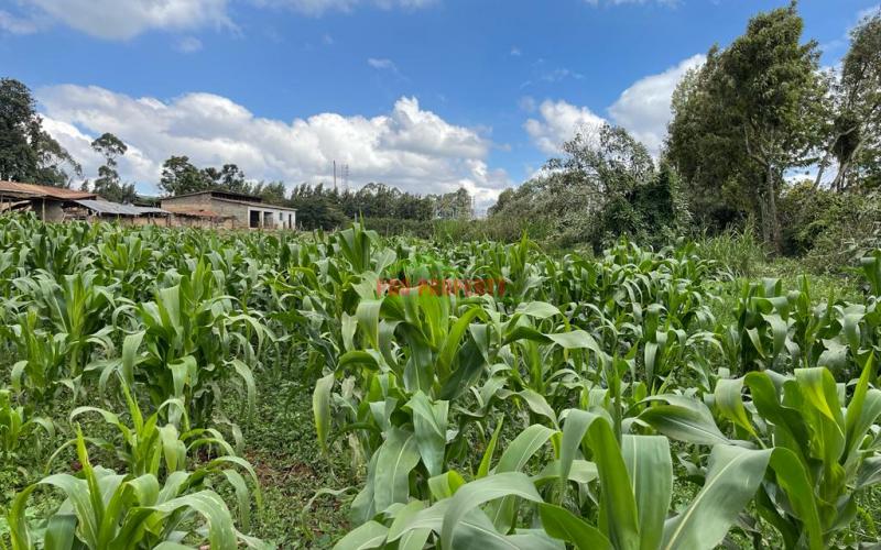 Prime Block Of Land For Sale In Kikuyu Town.