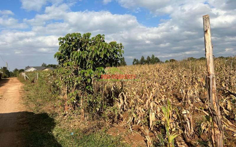 Prime Residential Plot For Sale In Kikuyu,kamangu