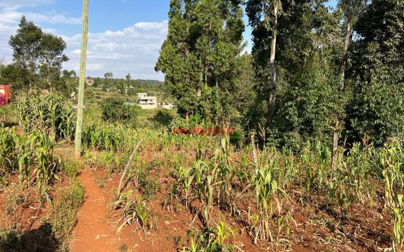 Prime Residential Plot For Sale In Kikuyu, Gikambura.