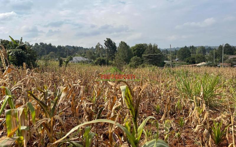 Prime Residential Plot For Sale In Kikuyu, Kamangu Karai (migumoini Area).