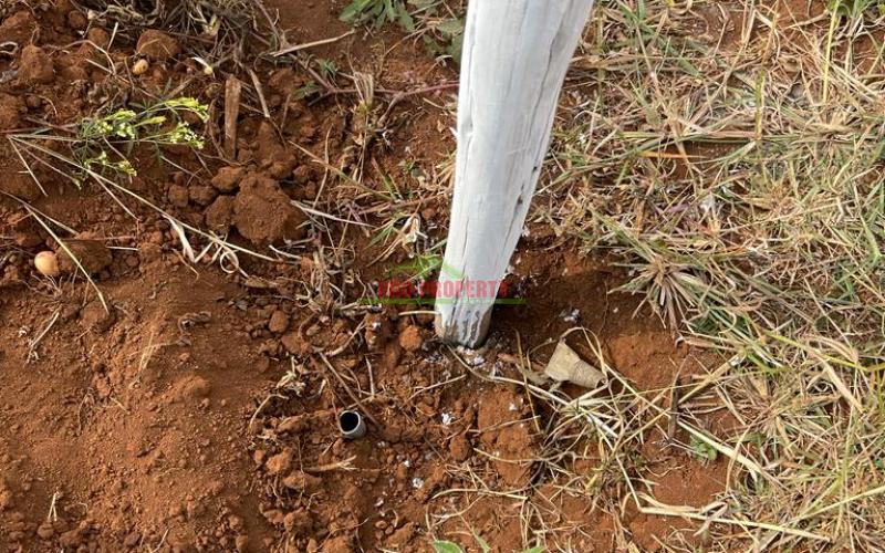 Prime Residential Plot For Sale In Kikuyu, Kamangu Karai (migumoini Area).