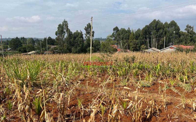 Prime Residential Plot For Sale In Kikuyu, Kamangu Karai (migumoini Area).
