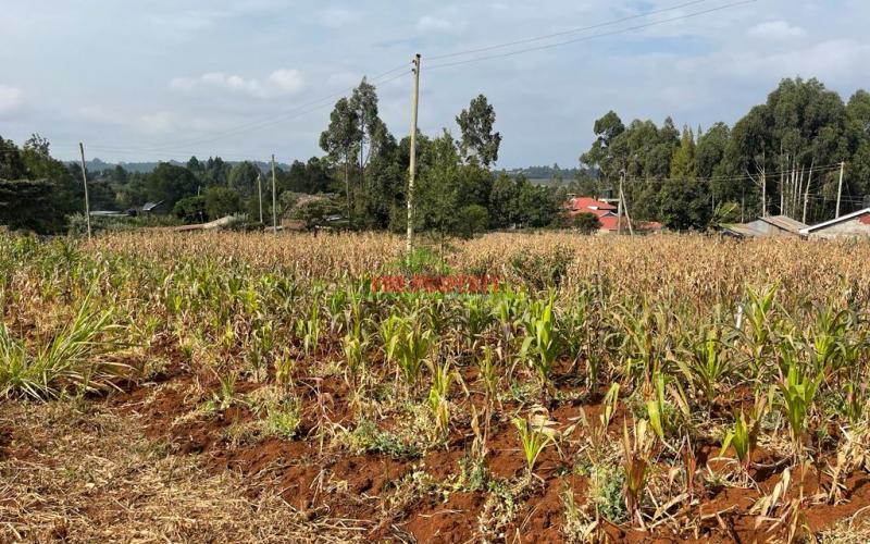 Prime Residential Plot For Sale In Kikuyu, Kamangu Karai (migumoini Area).