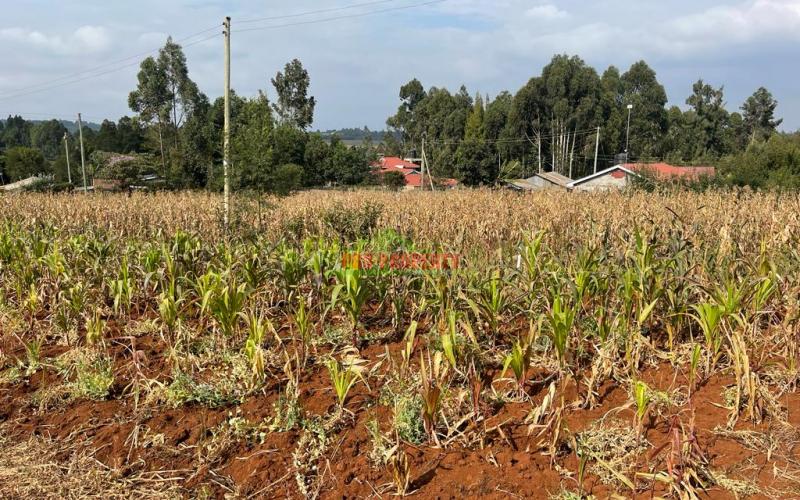 Prime Residential Plot For Sale In Kikuyu, Kamangu Karai (migumoini Area).