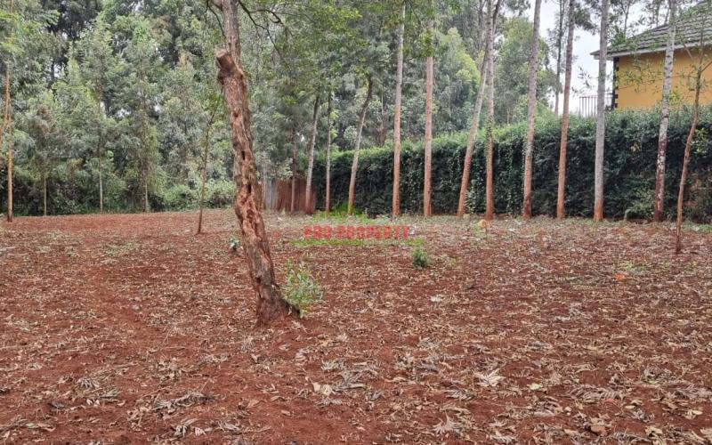 100 X 100 Fts Plot In A Gated Community For Sale In Fortsmith Road, Uthiru.