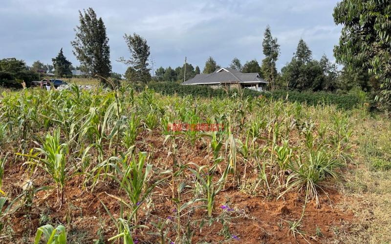 Affordable Residential Plot For Sale In Kikuyu, Kamangu.