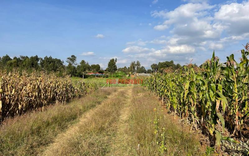 Plot For Sale In Limuru, Mboroti.