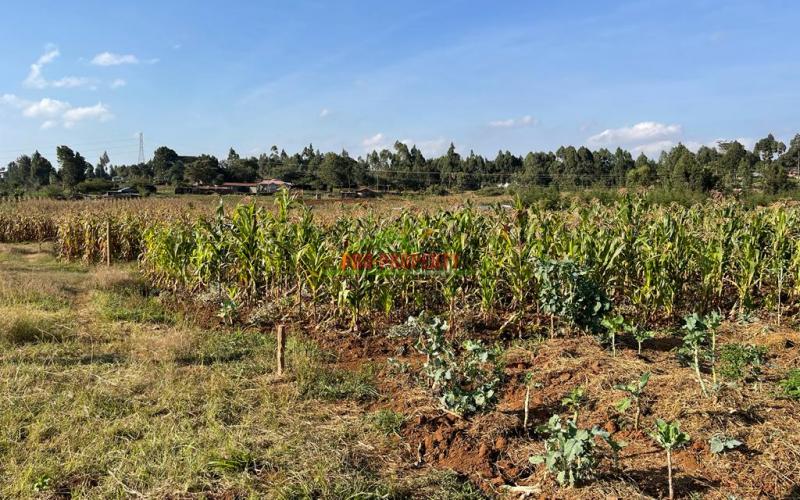Plot For Sale In Limuru, Mboroti.