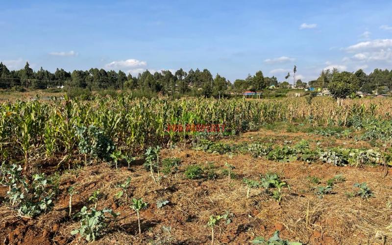 Plot For Sale In Limuru, Mboroti.