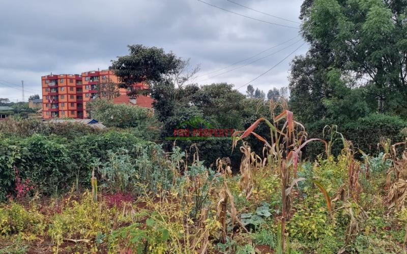 Prime Plot For Sale In Kikuyu, Thogoto.