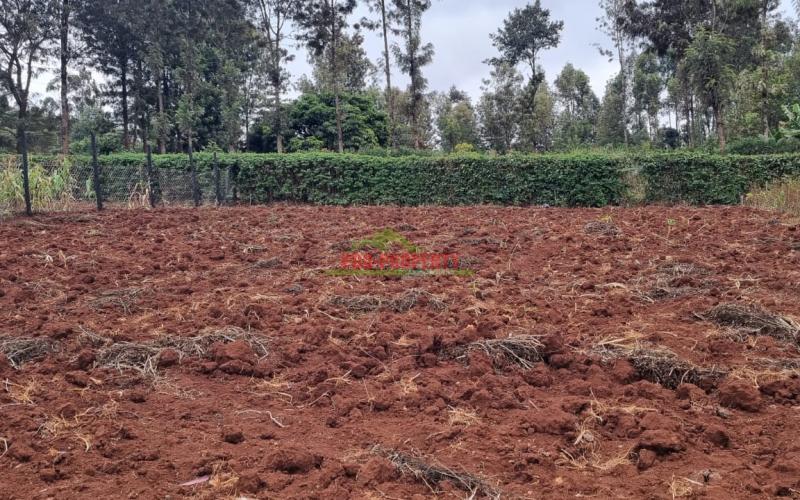 Prime Plot For Sale In Kikuyu, Thogoto.