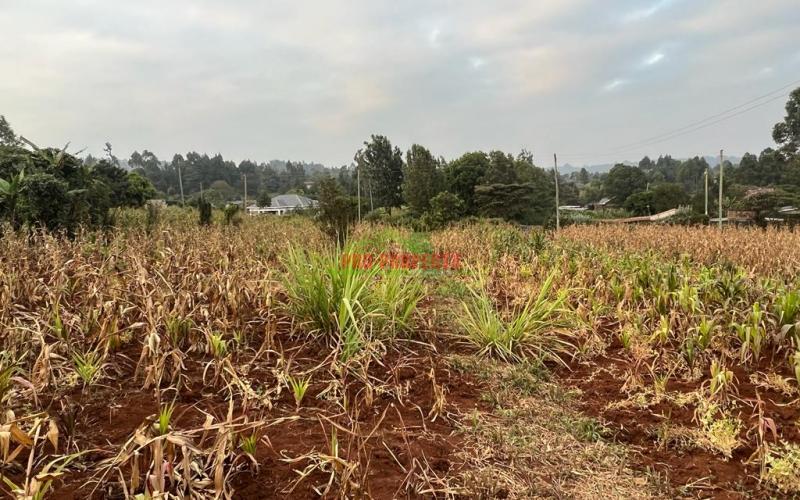 Prime Residential Plot For Sale In Kikuyu, Kamangu (migumoini).
