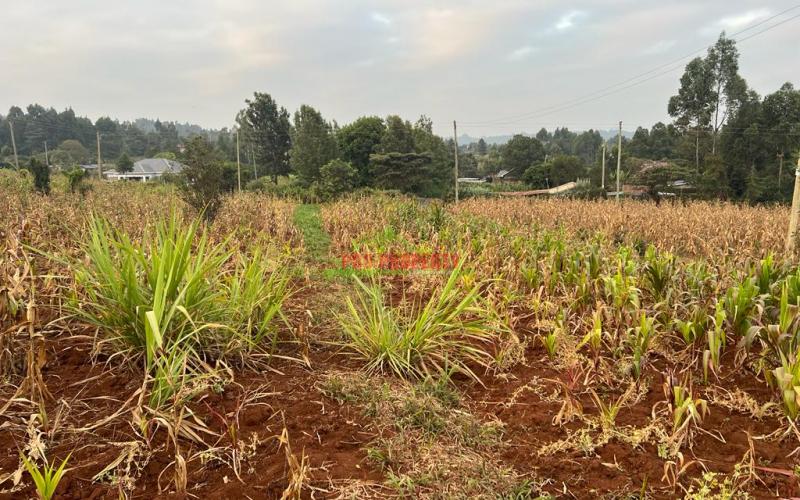 Prime Residential Plot For Sale In Kikuyu, Kamangu (migumoini).