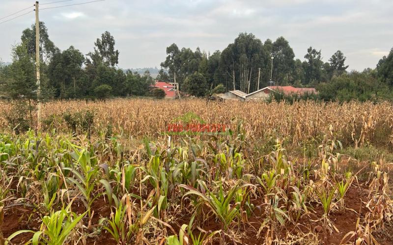 Prime Residential Plot For Sale In Kikuyu, Kamangu (migumoini).