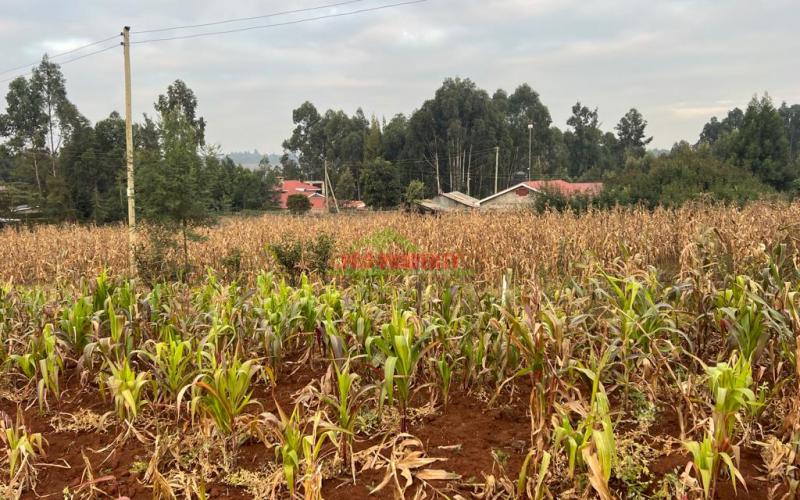 Prime Residential Plot For Sale In Kikuyu, Kamangu (migumoini).