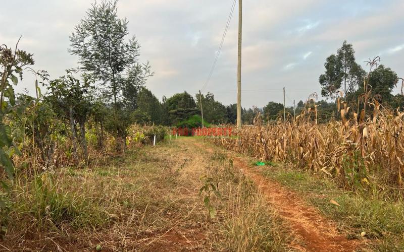 Prime Residential Plot For Sale In Kikuyu, Kamangu (migumoini).