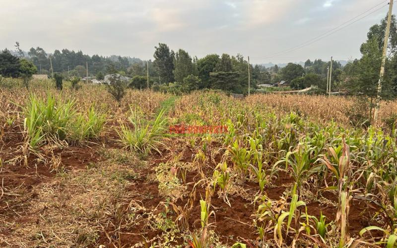 Prime Residential Plot For Sale In Kikuyu, Kamangu (migumoini).