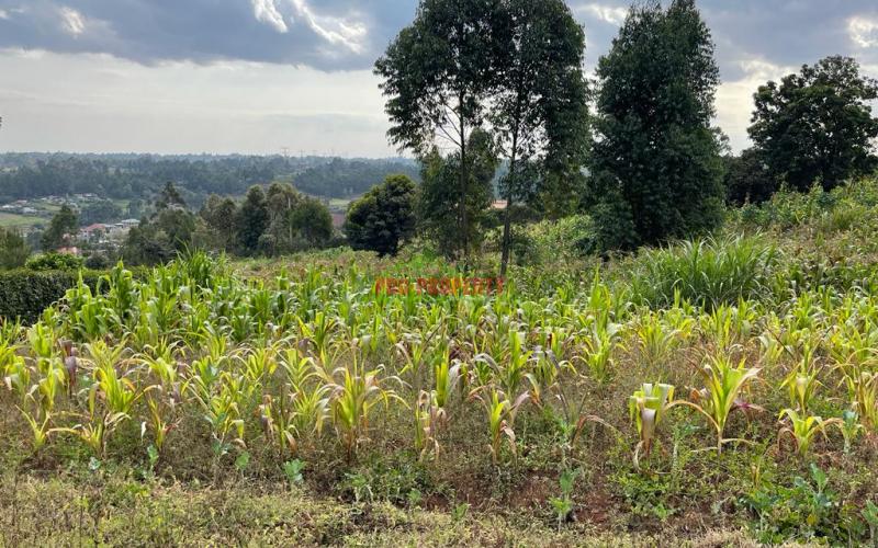 Residential 100 By 100 Fts Plot For Sale In Rironi (along Waiyaki Way).