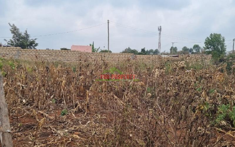 Prime 50 By 100 Fts Plot For Sale In Lusigetti.