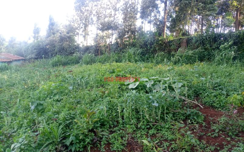 50 ×100 Ft Commercial Plot For Sale In Kikuyu Nairobi University