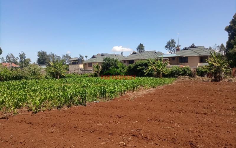 1/4 Acre For Sale In Kikuyu Thogoto