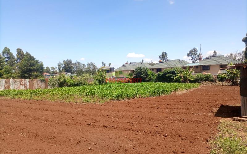 1/4 Acre For Sale In Kikuyu Thogoto